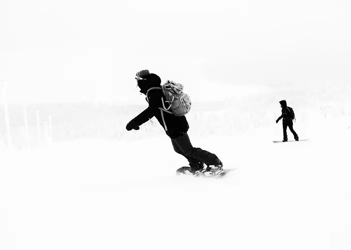 Ski-Inn Hotel Pyhaetunturi